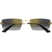 CARTIER CT0598S 001